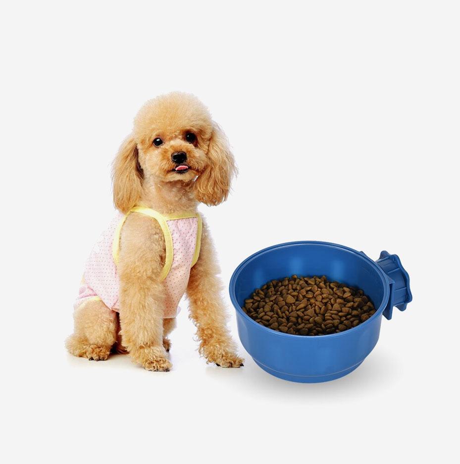 Wellbeloved Dry Dog Food